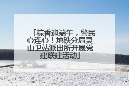 粽香迎端午，警民心连心！地铁分局灵山卫站派出所开展党建联建活动